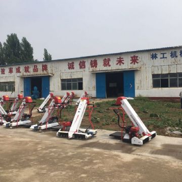 点击查看详细信息<br>标题：装袋机 阅读次数：2486